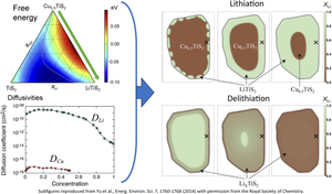 Elucidating the complex interplay between thermodynamics, kinetics, and electrochemistry in battery electrodes through phase-field modeling