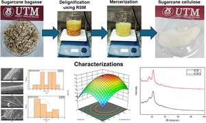 Isolation and characterization of cellulose from sugarcane bagasse fiber (Saccharum officinarum) via delignification and mercerization treatment using response surface modeling (RSM)