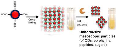 Bio-catalytic nanoparticle shaping for preparing mesoscopic assemblies of semiconductor quantum dots and organic molecules†