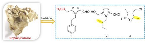 Isolation, absolute configuration and immunosuppressant activities of pyrrole and furanone derivatives from the edible mushroom Grifola frondosa