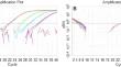 TaqMan real-time RT-PCR for detection of cowpea aphid-borne mosaic virus and epidemiological aspects of passion fruit woodiness disease