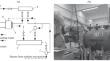 Experience with Application of Laser Diagnostics Systems in Experimental Studies of Wet Steam Flows in the Flow Path of Turbomachines: Basic Results of Studies and System Development Trends