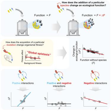 Global epistasis and the emergence of function in microbial consortia.