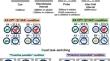 No evidence for cross-paradigm transfer of abstract task knowledge in adults and school-aged children.