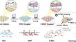 Hydrophobic and anti-fouling polyelectrolyte complex coating for durable flame-retardant cotton fabric