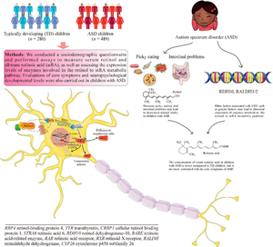 Association of the retinol to all-trans retinoic acid pathway with autism spectrum disorder.