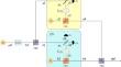 Noiseless linear amplification of polarization-encoded quantum states with efficient quantum scissors