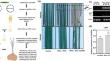 Tobacco rattle virus-based virus-induced gene silencing (VIGS) as an aid for functional genomics in Saffron (Crocus sativus L.)