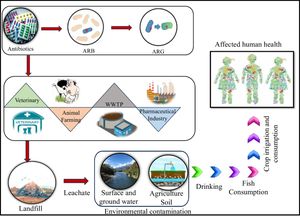 Antibiotic Resistance Genes – An Emerging Genetic Pollutant of LFL