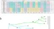 Evolution and association analysis of SSIIIa in rice landraces of Yunnan Province