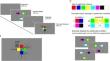 Proactive interference of visual working memory chunks implicates long-term memory.