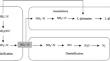 Identification and Synergistic Denitrification of Two Heterotrophic Nitrification-Aerobic Denitrification Bacteria