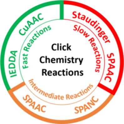 Click Chemistry: Reaction Rates and Their Suitability for Biomedical Applications