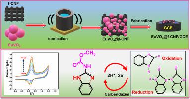 Nanoarchitectonics of europium vanadate nanoparticles decorated carbon nanofibers for electrochemical detection of fungicide in fruits