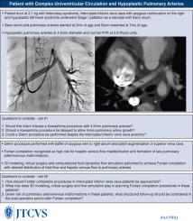 Complex Patient with Azygos Continuation of the Inferior Vena Cava: Value of Flow Simulation.