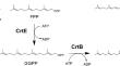 Development of in vitro lycopene biosynthesis from geranyl pyrophosphate employing cell-free protein synthesis