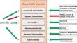 Anamorelin for the Treatment of Cancer Anorexia-Cachexia Syndrome.