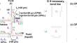 A Design Method of an Ultra-Wideband and Easy-to-Array Magic-T: A 6-14 GHz Scaled Model for a mm/submm Camera