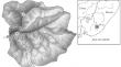 The Effect of Temporal Aggregation of Observation Data on Parameter Calibration Results and the Efficiency of Runoff Simulation: Case Study of Small Catchments (Southern Primorskii Krai, Russia)