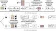 Active learning with biased non-response to label requests