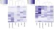 Hypermethylation in Ovarian Cancer of Long Noncoding RNA Genes: HOTAIR, GAS5, LINC00472, LINC00886, TUG1