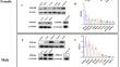 Phosphodiesterase 8 (PDE8): Distribution and Cellular Expression and Association with Alzheimer's Disease.