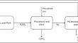 Effect of CO partial pressure on phosphogypsum decomposition kinetics