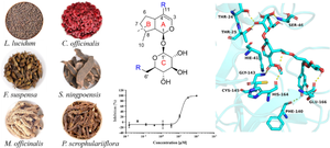 Anti-coronavirus and anti-pulmonary inflammation effects of iridoids, the common component from Chinese herbal medicines for the treatment of COVID-19