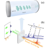 Two-dimensional femtosecond stimulated Raman spectroscopy for molecular polaritons: Dark states and beyond