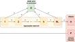 A hybrid transmission model for Plasmodium vivax accounting for superinfection, immunity and the hypnozoite reservoir.