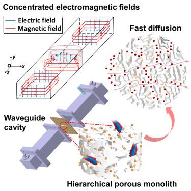 A reconfigurable monolith chip-type microwave gas sensor for ultrasensitive NH3 detection