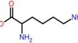 Effect of blending L-lysine-modified montmorillonite into urea-formaldehyde resin on formaldehyde emission and physicomechanical properties of medium density fiberboard