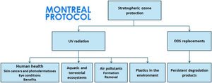 Continuing benefits of the Montreal Protocol and protection of the stratospheric ozone layer for human health and the environment.