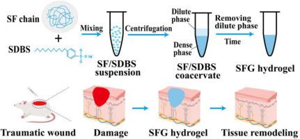 An artificial liquid–liquid phase separation-driven silk fibroin-based adhesive for rapid hemostasis and wound sealing