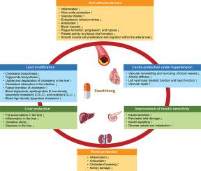 A systematic, updated review of Xuezhikang, a domestically developed lipid-lowering drug, in the application of cardiovascular diseases