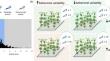 Top-down effects of intraspeciflic predator behavioral variation.