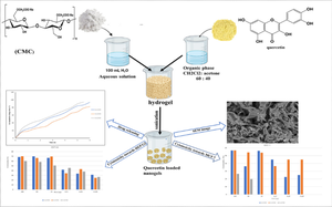 Synthesis of quercetin-loaded carboxymethyl cellulose nanogel: morphological structure and in vitro release