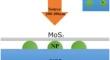 Computational Investigation on Tunability of Optical Absorption in MoS2 Integrated with Mono- and Non-Alloyed AuAg Nanoparticles for Photodetector Application