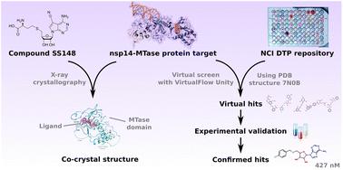 Application of established computational techniques to identify potential SARS-CoV-2 Nsp14-MTase inhibitors in low data regimes†