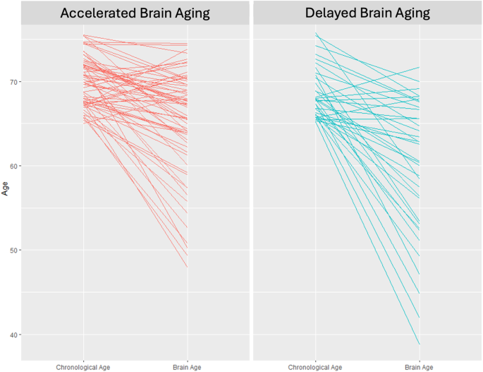 Investigating nutrient biomarkers of healthy brain aging: a multimodal brain imaging study.