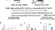 High salt diet induces cognitive impairment and is linked to the activation of IGF1R/mTOR/p70S6K signaling.