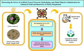 Harnessing the power of artificial neural networks methodology and multi-objective optimization for enhanced yield and bioactivity of plants polyphenolic compounds