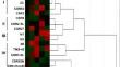 Biochemical analysis of defensive enzymes in the hemolymph of bivoltine silkworm breeds of Bombyx mori (Lepidoptera: Bombycidae)