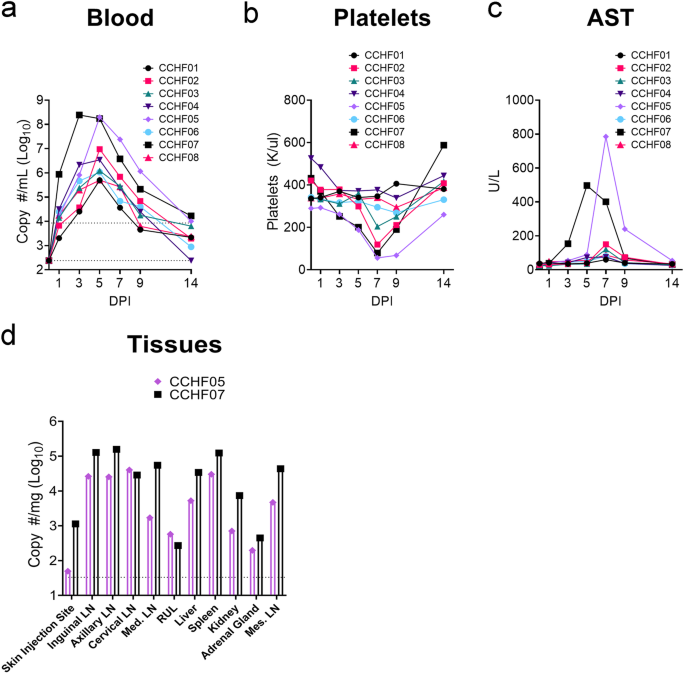 A replicating RNA vaccine confers protection in a rhesus macaque model of Crimean-Congo hemorrhagic fever.