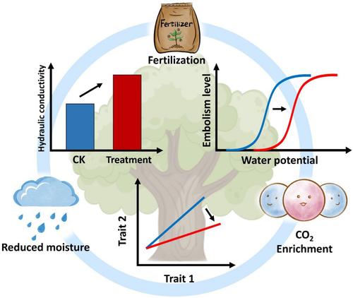 Robust hydraulic traits correlation in woody species despite large trait variation along natural and experimental environmental gradients