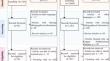 Evolution and performance analysis of thermal comfort indices for tropical and subtropical region: a comprehensive literature review