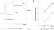 Physiological responses of grapevine (Vitis vinifera var. ‘Pinot gris’) affected by different flavescence dorée genotypes: dynamics through the development of phytoplasma infection