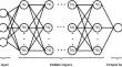 Kinetic and Artificial neural network modelling of marabú (Dichrostachys cinerea) pyrolysis based on thermogravimetric data