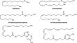 Synthesis of Amides Based on Biologically Active (5Z,9Z)-Eicosa-5,9-dienoic Acid