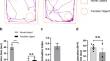 Elucidating hippocampal proteome dynamics in moderate hepatic encephalopathy rats: insights from high-resolution mass spectrometry.